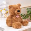 Lazy Bear Raccoon Plush Toy Teddy Bear Stuffed Animal Doll Comfort Sleep Girl Gift