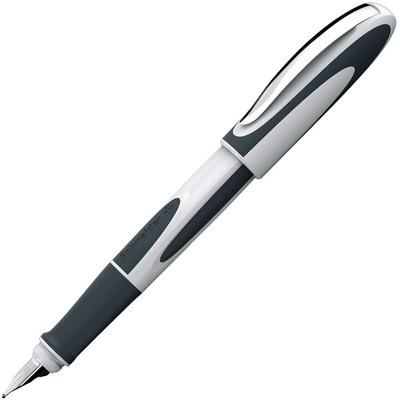 Ручка перьевая Schneider Ray M, перо Medium, черные чернила, бело-серый,