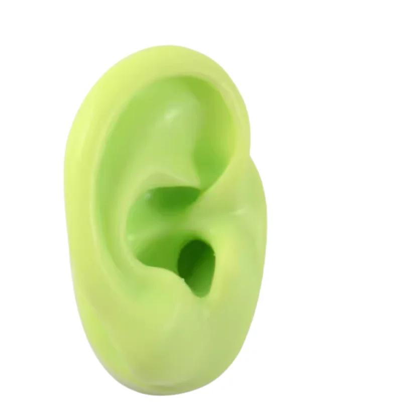 5D Силиконовая Модель Искусственного Уха, Имитирующая Настоящее, Пирсинг Сережек, Пирсинг, Пирсинг, Обучение, Слуховой Аппарат, Практика Акупунктуры, Реквизит