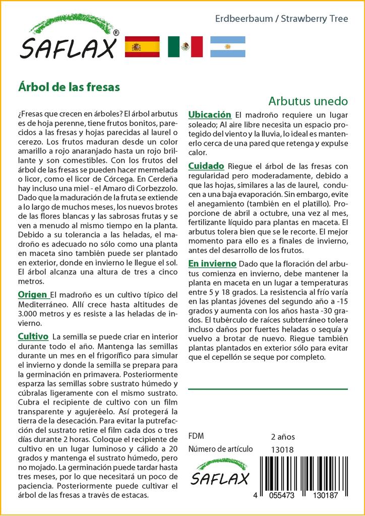 SAFLAX Земляничное дерево - 50 семян - Arbutus unedo