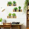 Имитация зеленых растений в горшках, оклеивание стен гостиной, спальни, украшение дома, оклеивание стен