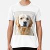 Golden Retriever Water Colour Portrait Premi S To 5XL Made In the AU/USA T-Shirt