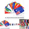 Многокультурная вечеринка Подвесной декор 50-100 шт. Флаги разных стран в ассортименте