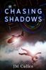 Книга Chasing Shadows