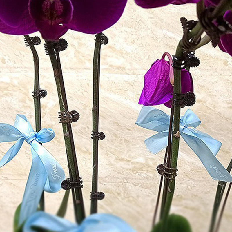100 шт. вьющихся растений виноградная лоза орхидея фиксация опорные зажимы инструменты садовые цветочные стебли шпалерные зажимы