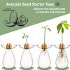 Красочная прозрачная гидропонная ваза для авокадо, стеклянная ваза для проращивания семян авокадо, набор для выращивания семян растений, для любителей садоводства, домашний декор
