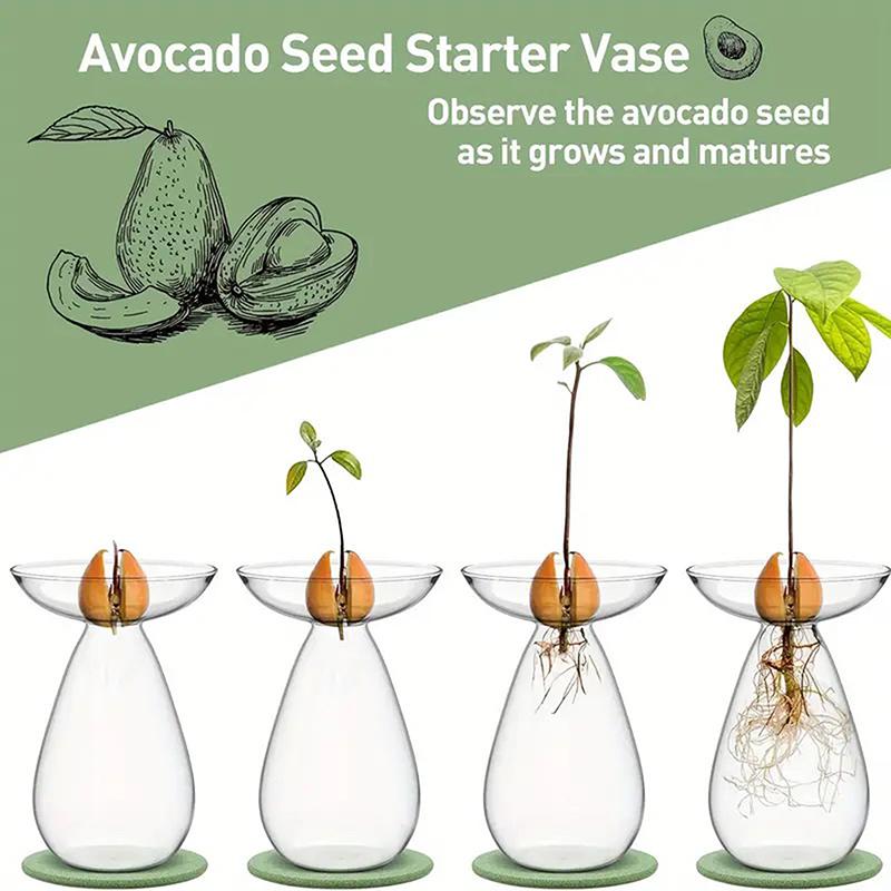 Красочная прозрачная гидропонная ваза для авокадо, стеклянная ваза для проращивания семян авокадо, набор для выращивания семян растений, для любителей садоводства, домашний декор