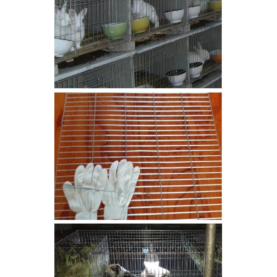 Steel wire long hole Galvanized welded Iron wire mesh used for household breeding bird pigeon rabbit Parrot quail chicken Cage