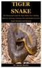 Книга Tiger Snake : The Paramount Guide On Tiger Snake Care, Feeding, Behavior, Housing, Training, Diet And Health Care [For Expert Breeders And Novices]