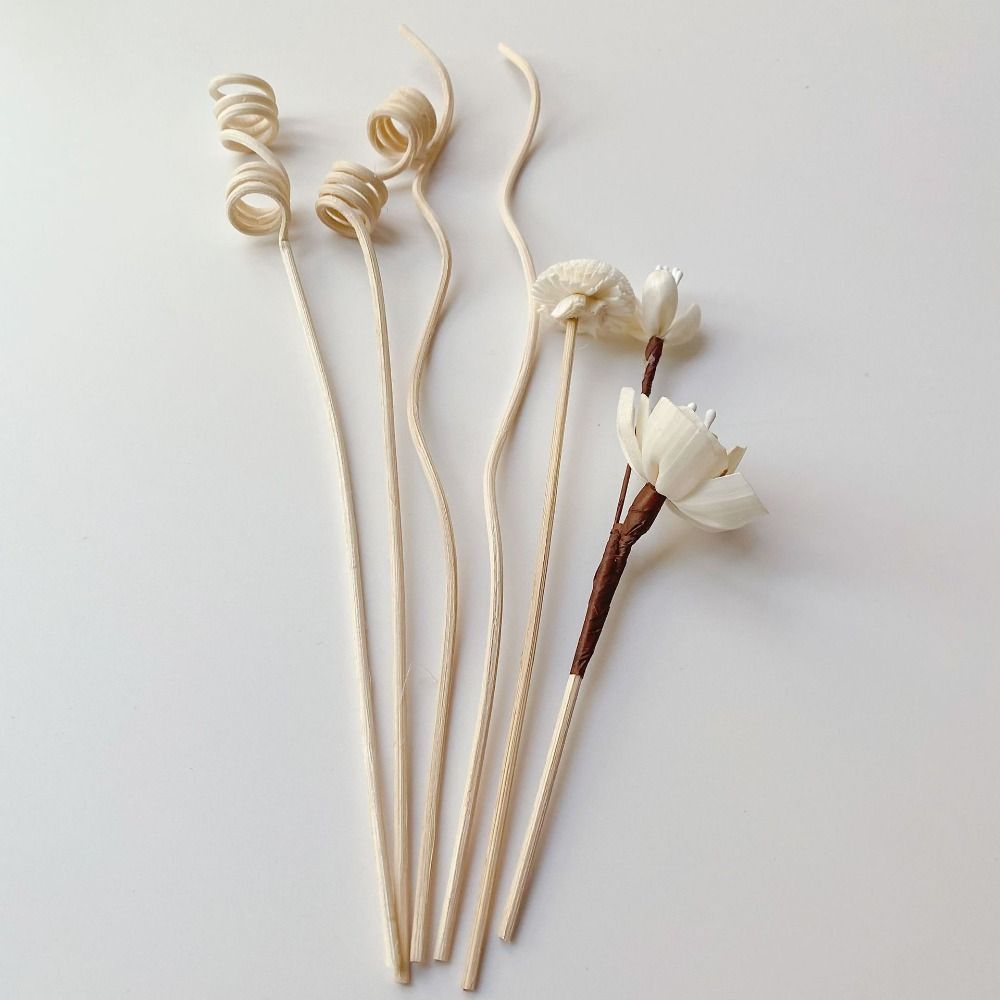Supplies No Fire Aroma Diffuser Stick Flower Aromatherapy Rattan Fireless Vine Branch Reed Diffuser