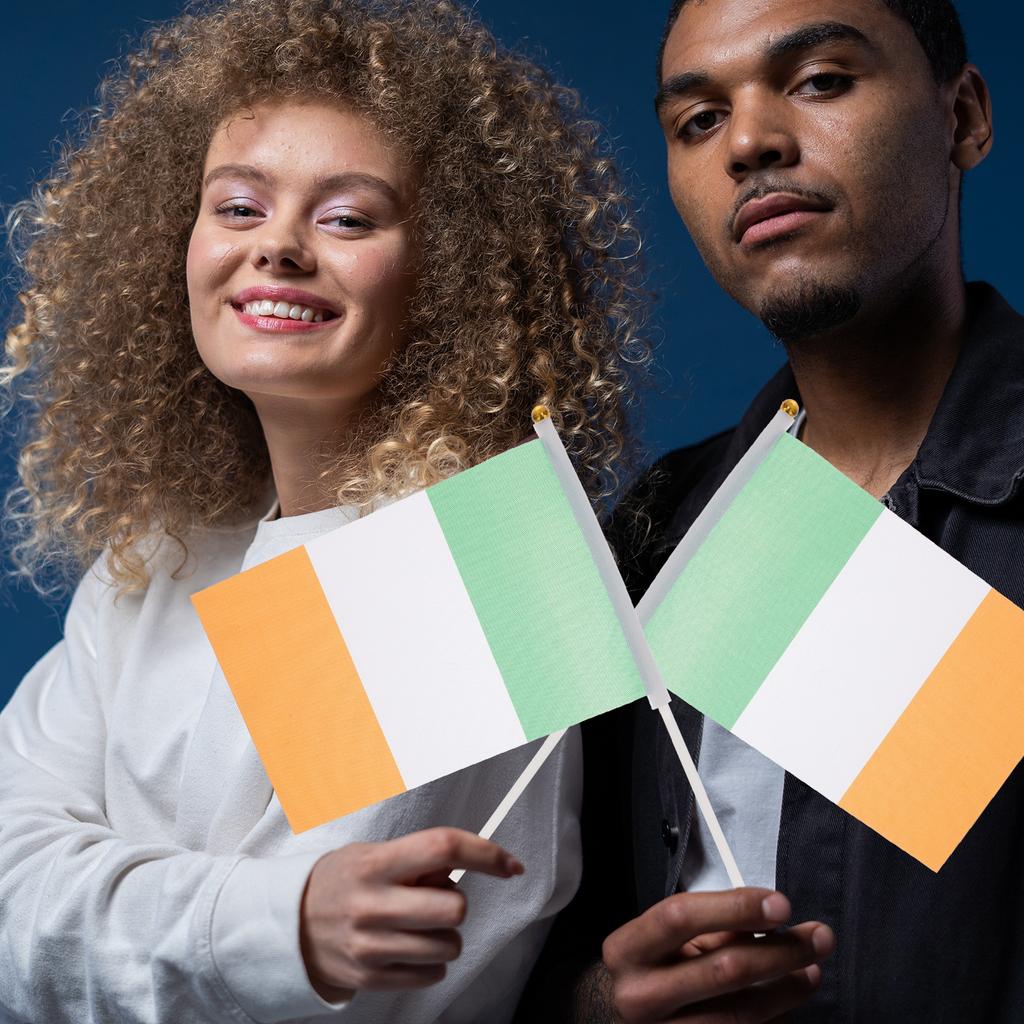 100 шт. флагштока для размахивания рукой, маленькие национальные телескопические палки, держатели для наружных праздничных принадлежностей, баннер