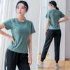 Fitness Morning Running Quick-Drying High-End Sports Suit  Spring And Summer Professional Gym Loose Yoga Clothes