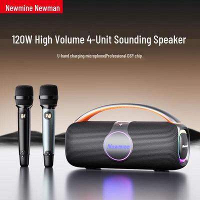 Портативная Bluetooth-колонка KTV Newman N500 с двумя микрофонами, штекер CN (адаптер в комплекте)
