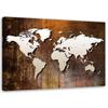 Canvas Print World Map Metal Brown