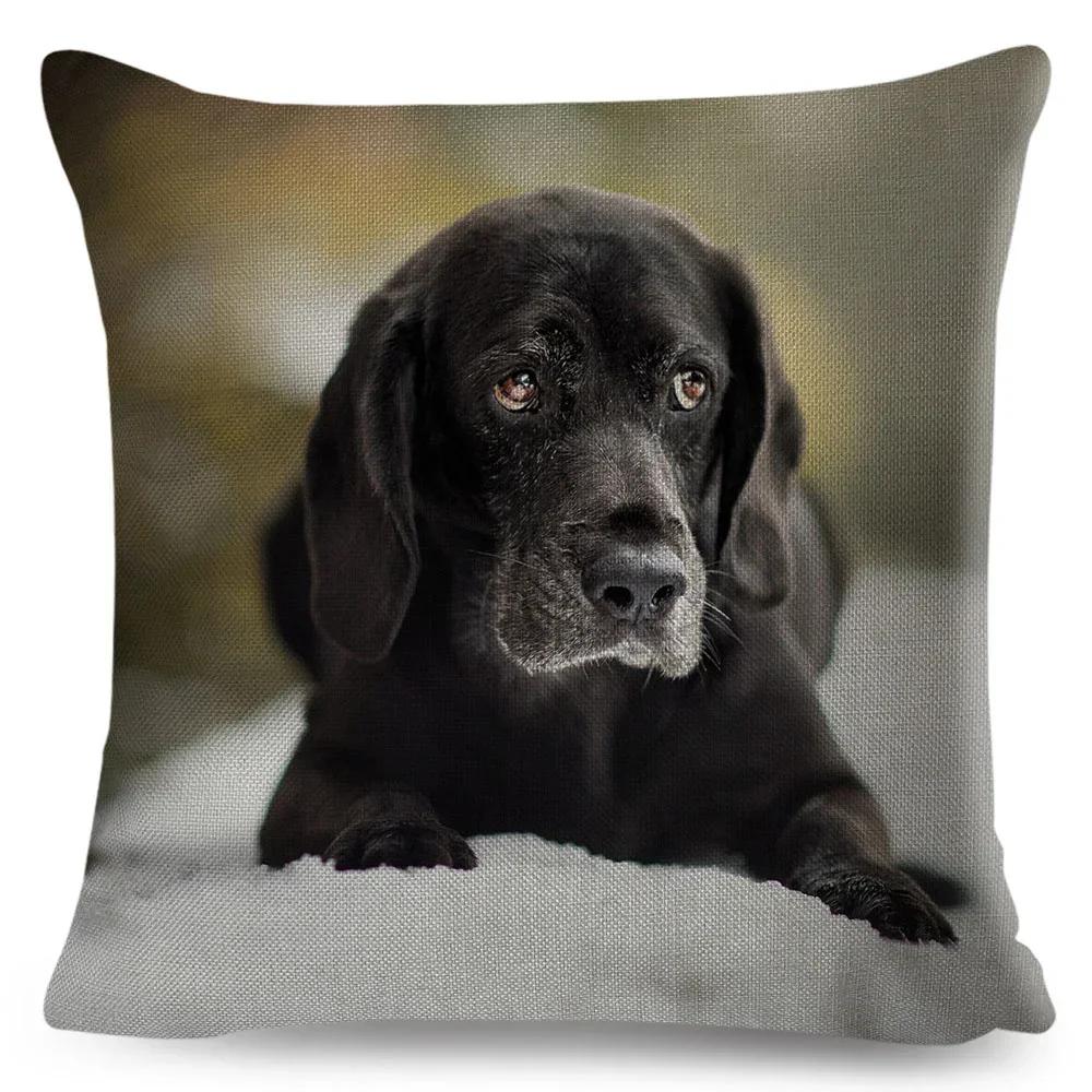 Cute Black Labrador Dog Double-Sided Printed Pillow Cover Short Plush Suitable Living Rooms Bedrooms Sofas Throw Cushion Cover