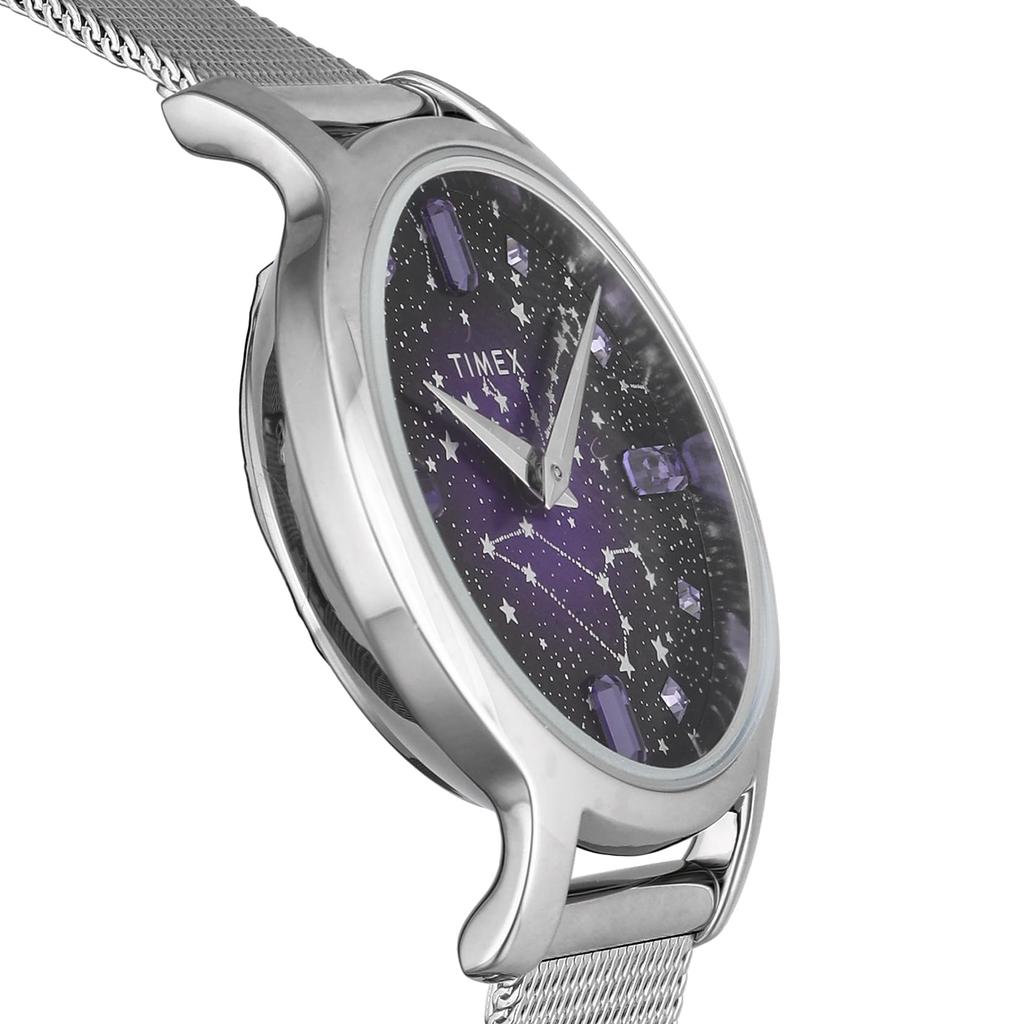 TIMEX WatchTW2V52000 [item]