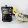 Декоративный обогреватель для рептилий с вилкой ЕС Great Pet Parrot Lamp