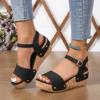 Fashion 2025 Ladies Shoes Peep Toe Women's Sandals Fashion Rivet Summer Casual Buckle Strap New Plus Size Comfortable Wedge Sandals