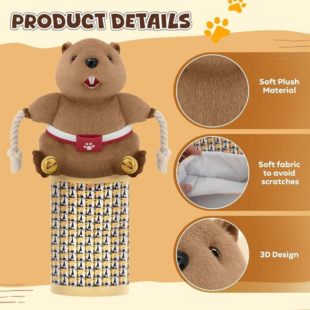 Interactive Cat Play Glove With Teaser Bell Puppet Toy  for Bedroom Kitchen Porch Balcony