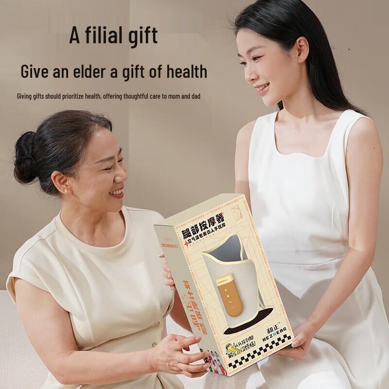 HEZHENG Portable Calf & Knee Massager HZ-X6 CN plug (adapter included)