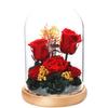 TEATSIGHT Preserved Flower Arrangement, Pre-Wrapped, Glass Pot, 5 Flowers (Red Roses)
