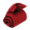 Premier Clip-On Tie