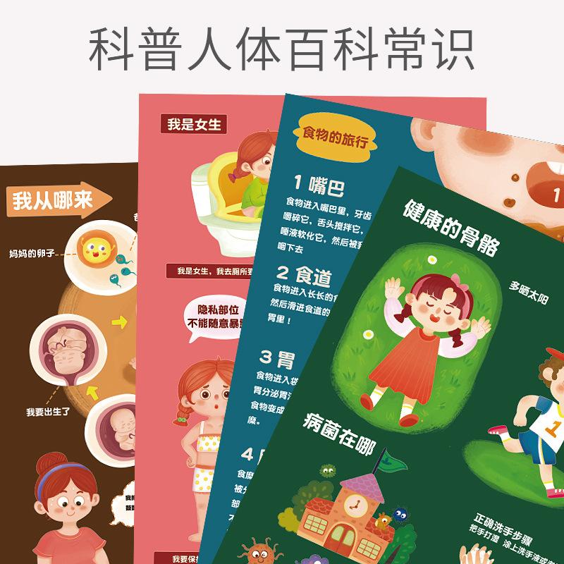 Детская познавательная модель человеческого тела, головоломка по структуре тела, изображение органа, научное учебное пособие, раннее образование, развивающие игрушки