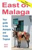 Книга East Of Malaga Your Guide To The Axarquia And Costa Tropical by David Baird - Paperback