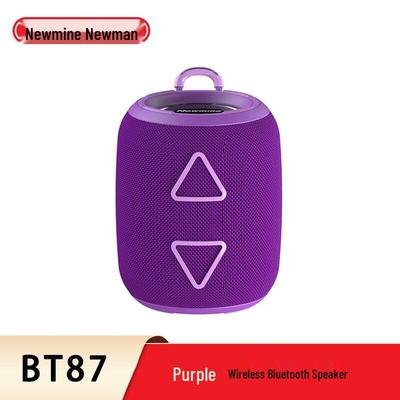 Портативная Bluetooth-колонка Newmine BT87, штекер CN (адаптер в комплекте)