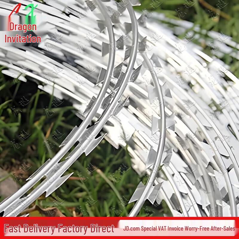 Longxia Outdoor Razor Wire Anti-climb Net