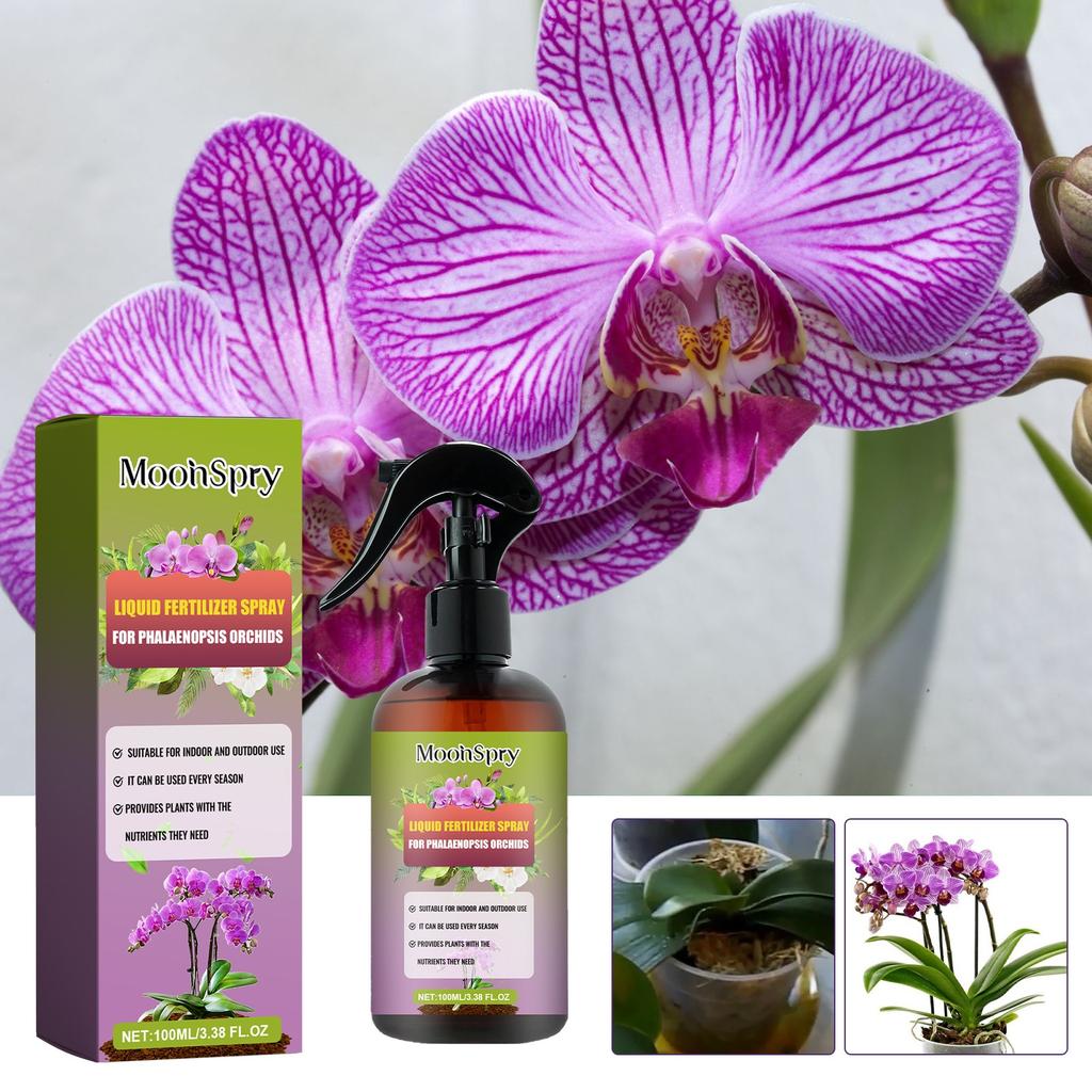 Special Plants Spray Fertilizer Mist For Home Gardening Gentle Blend Mist For Healthy Leaves 10ml