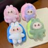 New Plush Labubu Coin Purse Plush Weaving Rope Key Chain Cartoon Zero Wallet Cute Backpack Pendant Leisure Portable Bag Gift