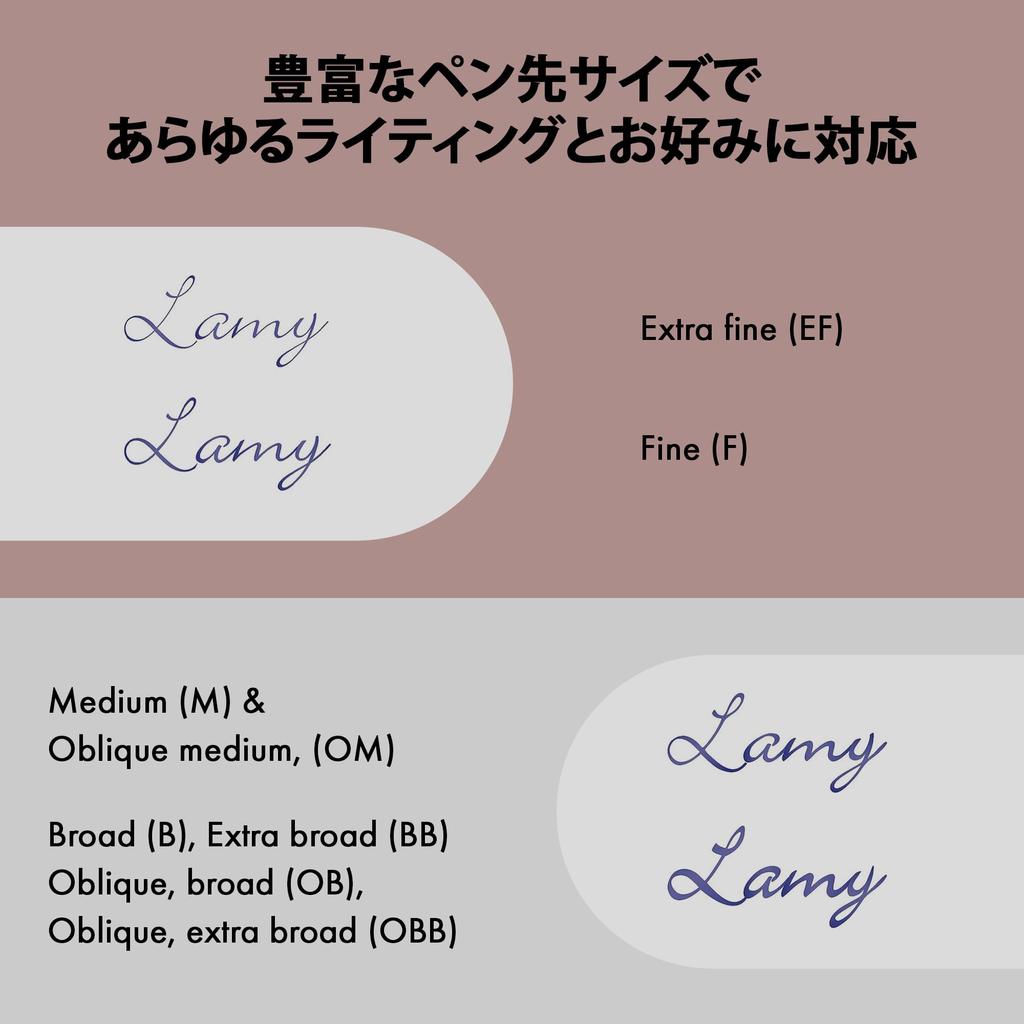 Lamy 2000 Silver Fountain Pen Elegant Fountain Pen with Velvety Matte Finish and Stainless Steel Body 14K Gold Nib Platinum Nib Size EF - - (partially