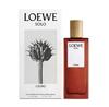 Loewe Solo Cedro туалетная вода 50ml