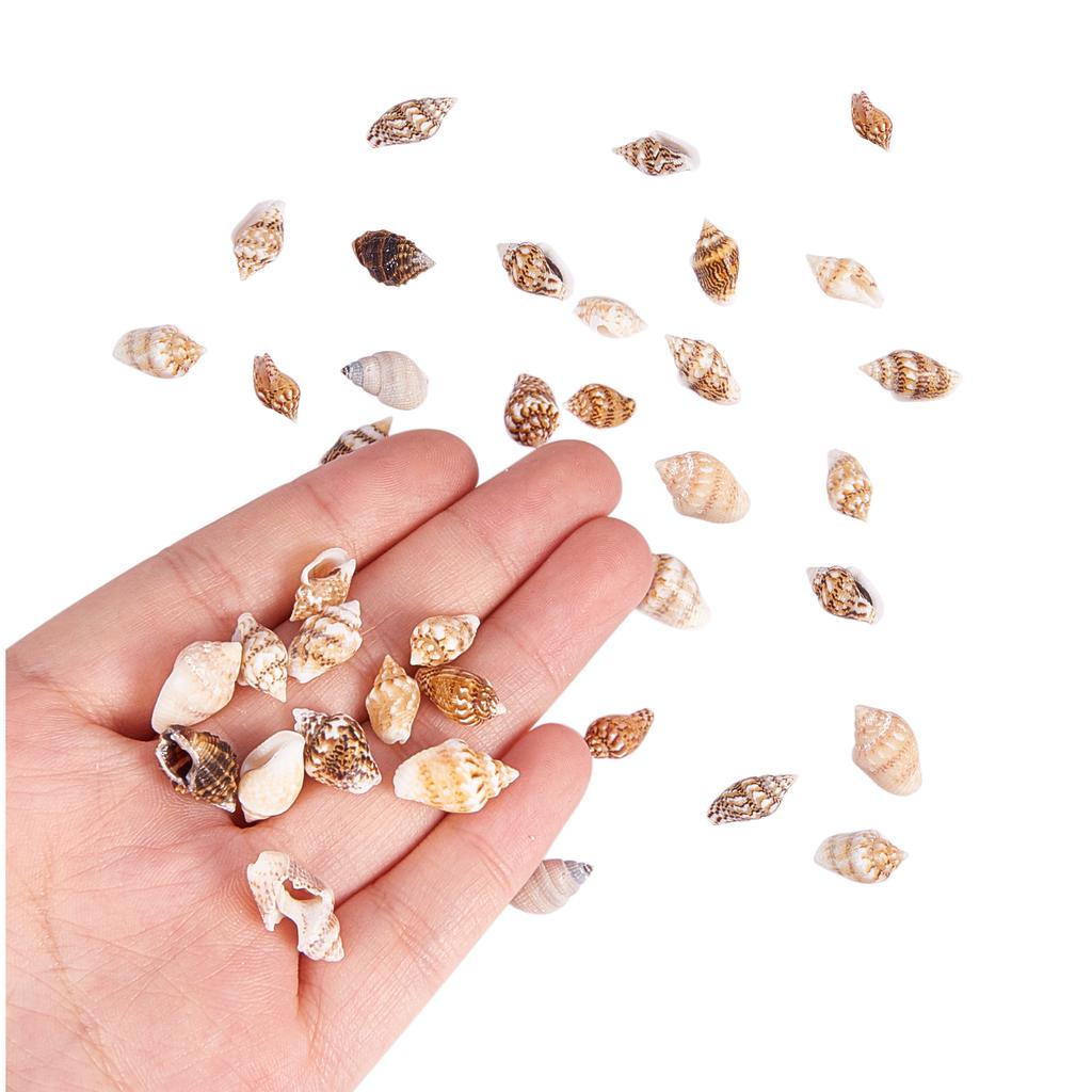 1300-1500Pcs/Box Natural Shell Conch Ornaments Accessories Parts DIY Material Jewelry Components Fish Tank Home Decoration
