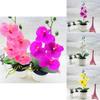 Phalaenopsis Faux Flower Arrangement With Injection Molded Craft For House Decoration And Gift