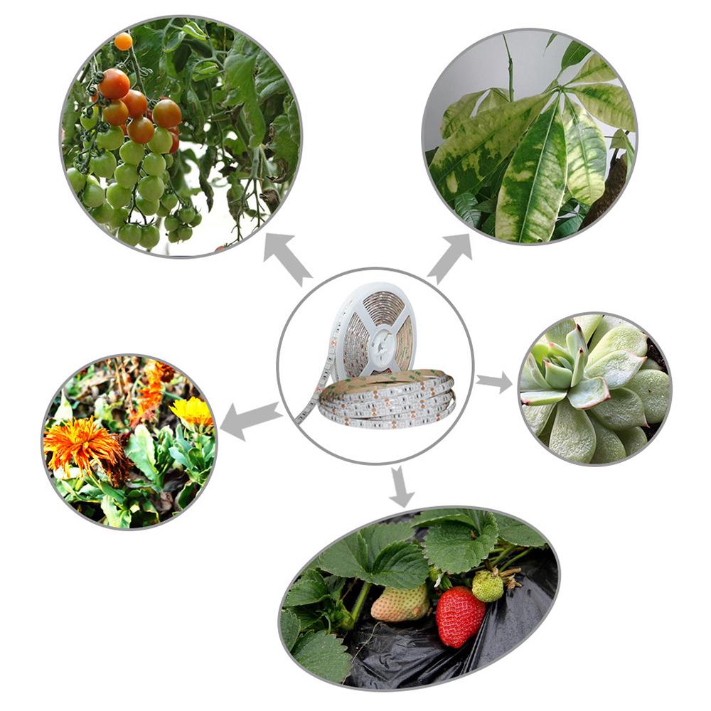 5 метров 5050Светодиодная световая панель для роста растений 60 ламп/м 3:1 4 красный 1 синий 5:1 растение для легкого выращивания
