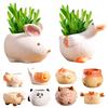 Мультяшный Утка Кролик Лиса Птица Рыба Форма Цветочный Горшок Керамический Контейнер для Растений Украшение Фигурка Декоративная Кашпо