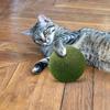 Large Catnip Balls 10cm Catnip Toys Cat Mint Ball Toy Super Large Healthy Natural Lickable Self-Relieving Catnip Ball For