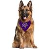 It's My Gotcha Day Dog Bandana, Purple Flannel Dog Bandana, Adoption Day Gifts, Pet Scarf (C55)