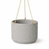 Hanging Gray Flowerpot for Interiors and Balconies