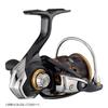Daiwa 21 Кальдия LT2500S