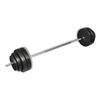 VidaXL Curl Dumbbell with Weight Plates Plastic Coated Gym Sport 90372