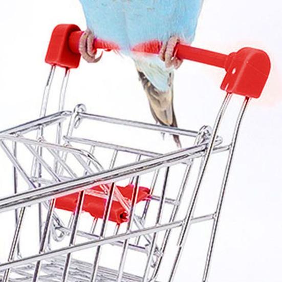 Parrot Stacking Toys Set Eco-friendly No Odor Colorful Basketball Toy Mini Shopping