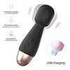 Powerful Vibrator Small Size USB Recharge Magic Wand AV Vibrator Clitoris Massager Erotic Sex Toys