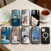 Крутой милый кот Чехол для телефона Для iPhone 14,16,15,13,17,12,Plus,Pro,Max Магнитный Для Magsafe Матовый Чехол