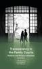 Книга Transparency In the Family Courts: Publicity and Privacy In Practice