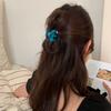 Grab Clip Letter Hair Clip Candy Color Cute Hairpin Personalized Acetate Hair Claw  Girl