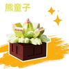 ToylinX Суккулент Цветок в горшке Строительные блоки 115 шт. Игрушечная модель Сад Дети Взрослые Праздничные подарки Рождество Хэллоуин Пасха