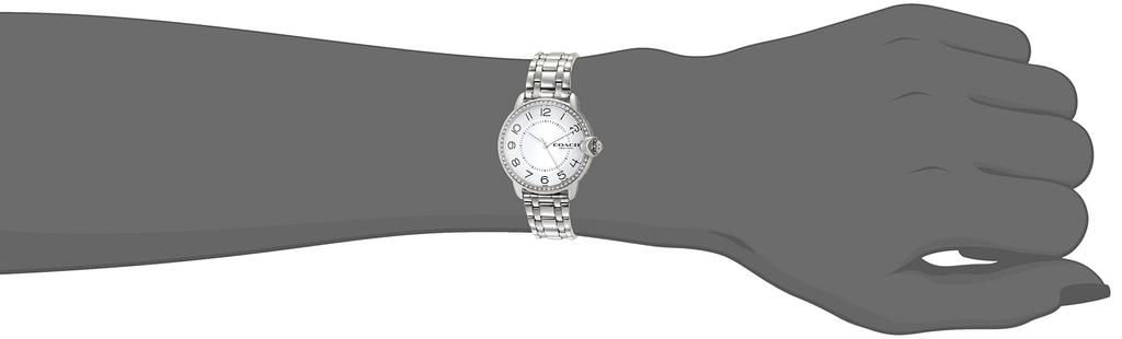 Часы ARDEN 14503808 Silver [Coach] Женские [Товар]